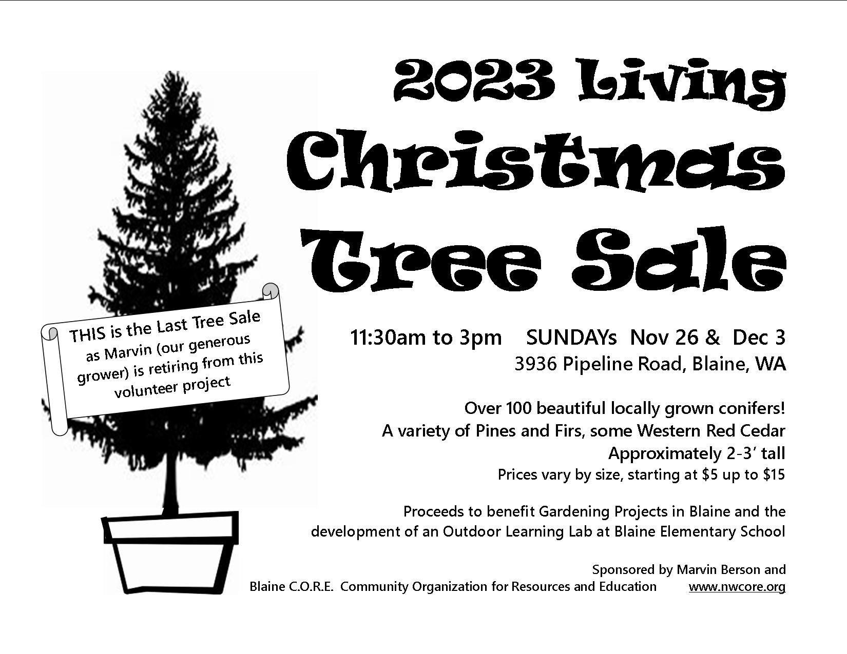2023 Flyer for Living Christmas Tree Sale, 11:30am-3pm, Sundays - Nov. 26 and Dec. 3 at 3936 Pipeline Rd, Blaine, Priced from $5-$15 each. Approx. 100+ availableProceeds benefit Blaine CORE and Blaine Elem. Learning Lab